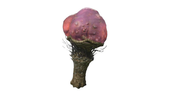 Bioluminescent flower asset 1